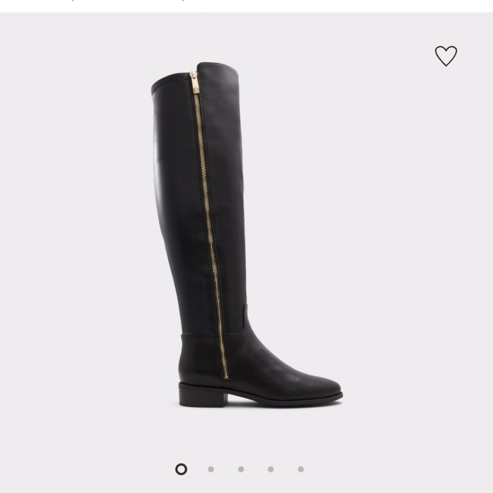 Aldo Knee high boots